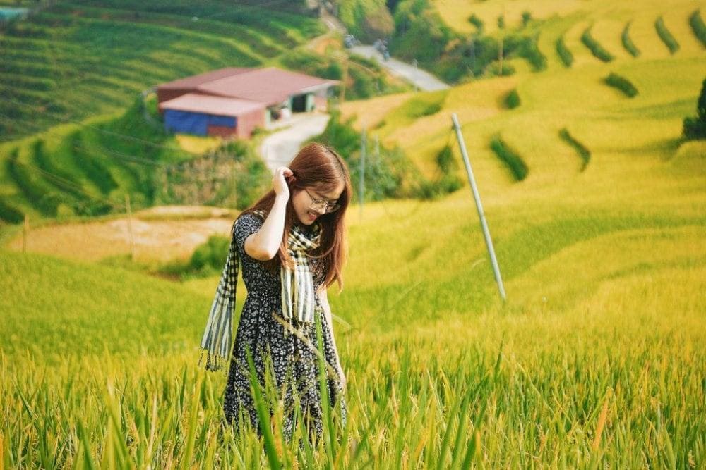 Chọn tông màu trầm để nổi bật giữa những thửa ruộng bậc thang vàng óng vào mùa thu hoạch (Nguồn: Internet)